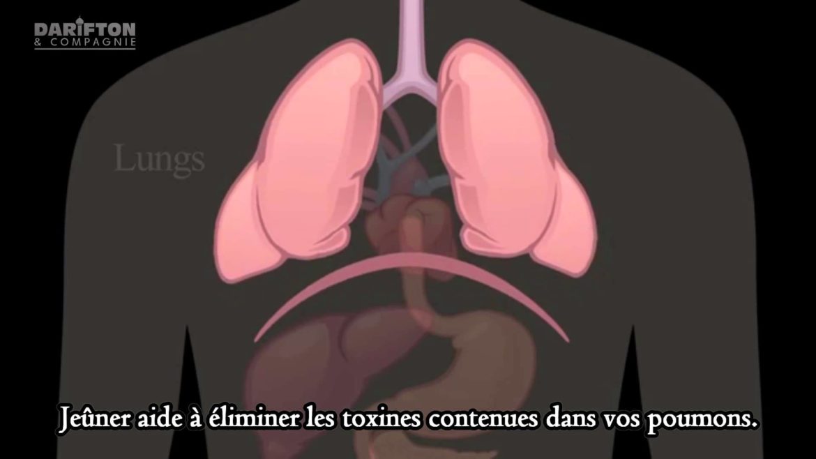 Que se passe-t-il au sein de notre organisme lorsque nous jeûnons ?