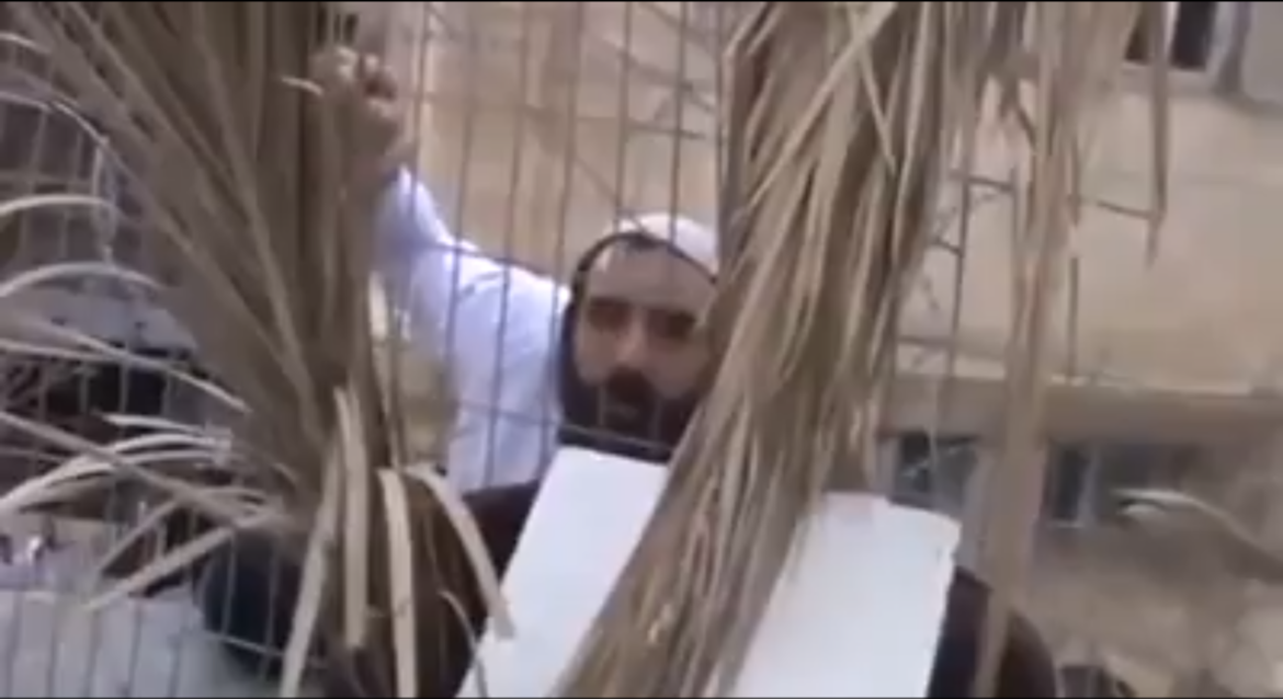 colon israélien, Palestine, gaza