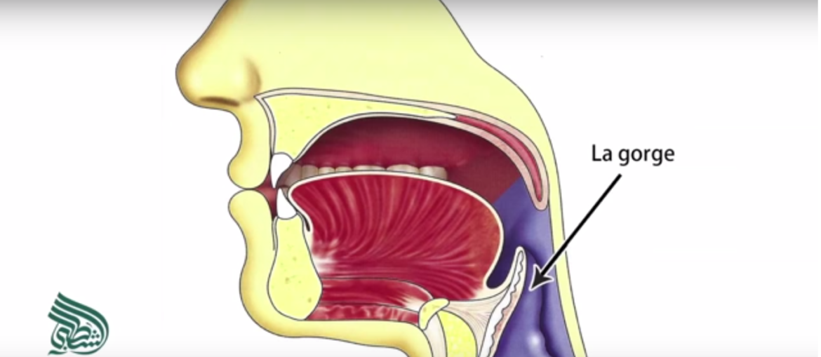 lettres arabes coran